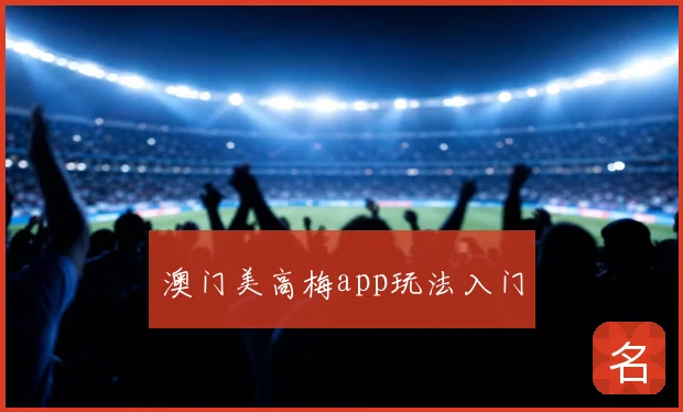 澳门美高梅app玩法入门
